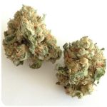 Шишки "White Widow" (Белая вдова) Гидропоника - Бошка VHQ в Пятигорске Шишки "White Widow" (Белая вдова) Гидропоника - Бошка VHQ в Пятигорске