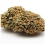 Шишки AK47 (Гидропоника, Бошка) VHQ в Пятигорске Шишки AK47 (Гидропоника, Бошка) VHQ в Пятигорске